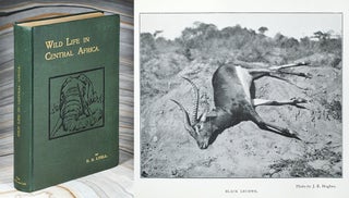Item #104490 Wild Life in Central Africa. Denis D. Lyell