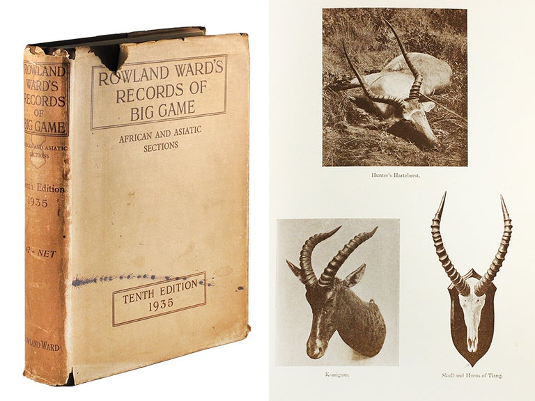 Item #104540 Rowland Ward's Records of Big Game African and Asiatic Sections with Their Distribution, Characteristics, Dimensions, Weights, and Horn & Tusk Measurements. Guy And J. B. Burlace Dollman.