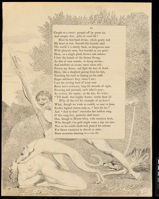 Item #104616 The Complaint and the Consolation; or, Night Thoughts. William. Young Blake, Edward