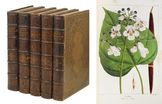 Item #106815 The North American Sylva; or, a Description of the Forest Trees of the United...