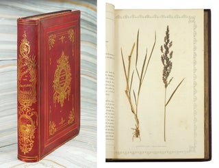 Item #110478 Natural Illustrations of the British Grasses. Frederick Hanham