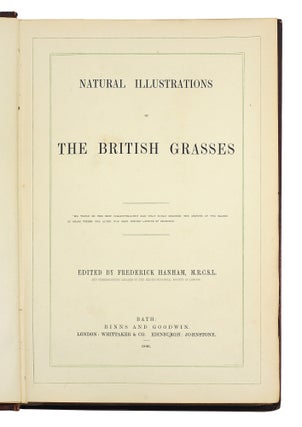 Natural Illustrations of the British Grasses.
