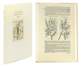 Item #122406 A Leaf from the 1583 Rembert Dodoens Herbal Printed by Christopher plantin. With a...