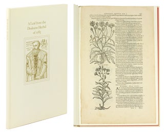 Item #122407 A Leaf from the 1583 Rembert Dodoens Herbal Printed by Christopher plantin. With a...