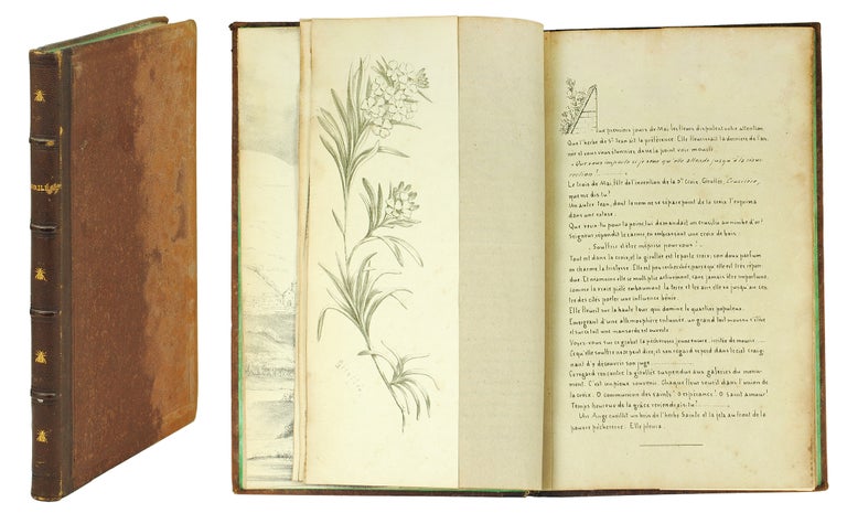 Item #123238 [Florilège catholique]. Botany Eccentrica, Anon.