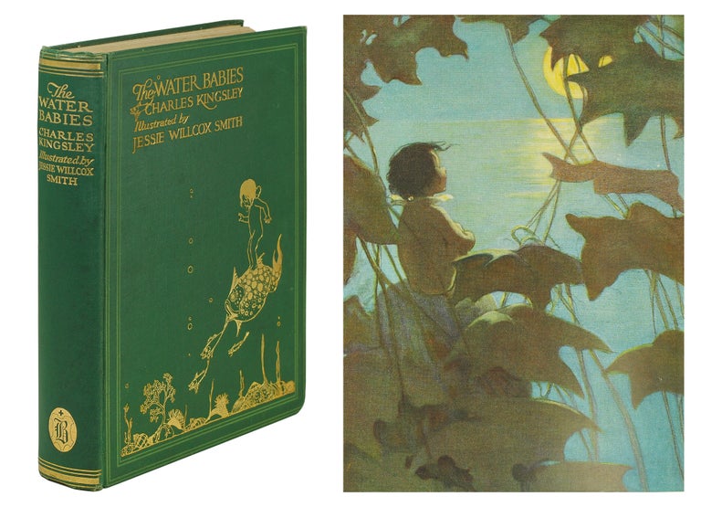 Item #123865 The Water Babies. By Charles Kingsley. Illustrated by Jessie Willcox Smith. Charles Kingsley, Jessie Willcox Smith.