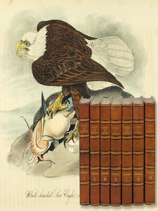 The Birds of America, from Drawings Made in the United States and Their Territories. John James Audubon.