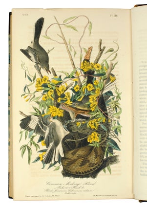 The Birds of America, from Drawings Made in the United States and Their Territories.