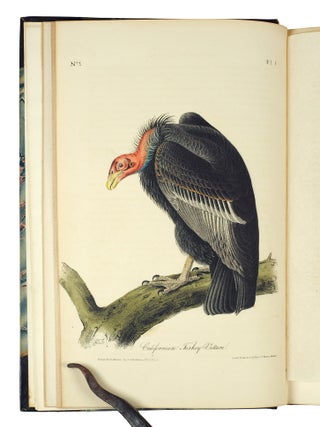 The Birds of America, from Drawings Made in the United States and Their Territories.