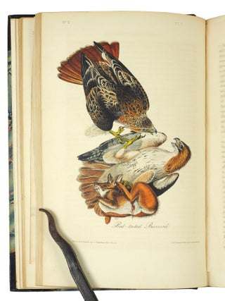 The Birds of America, from Drawings Made in the United States and Their Territories.