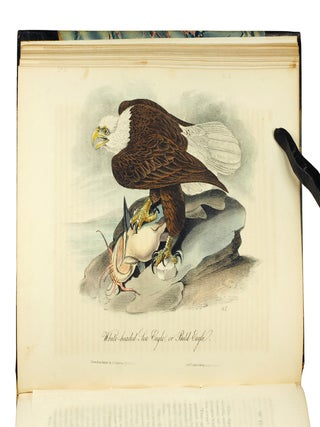 The Birds of America, from Drawings Made in the United States and Their Territories.
