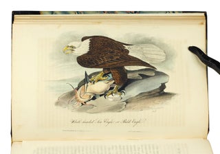 The Birds of America, from Drawings Made in the United States and Their Territories.