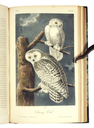 The Birds of America, from Drawings Made in the United States and Their Territories.