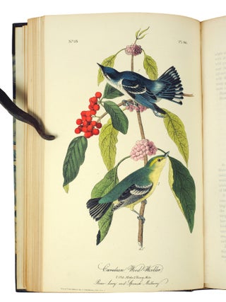 The Birds of America, from Drawings Made in the United States and Their Territories.